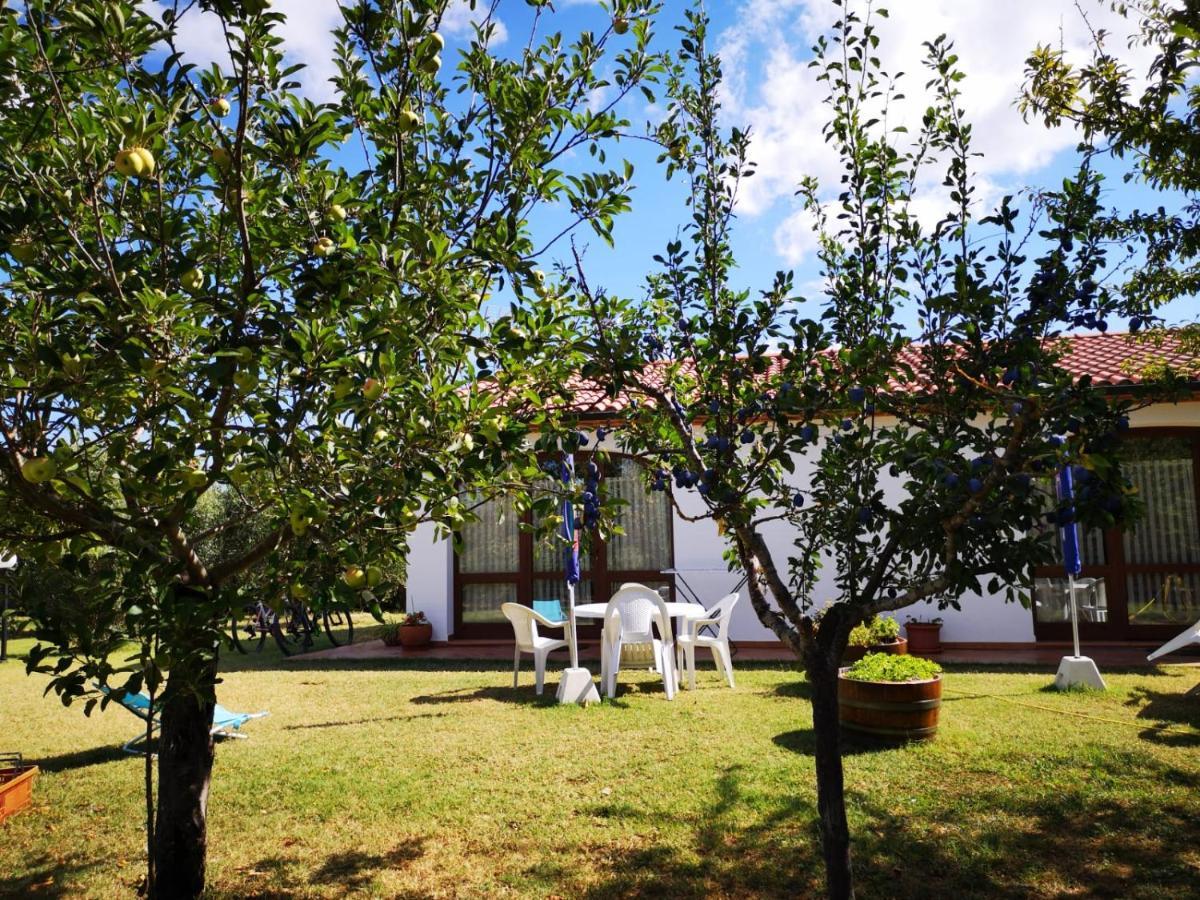 Agriturismo Valle Dei Venti Villa La Sdriscia Buitenkant foto